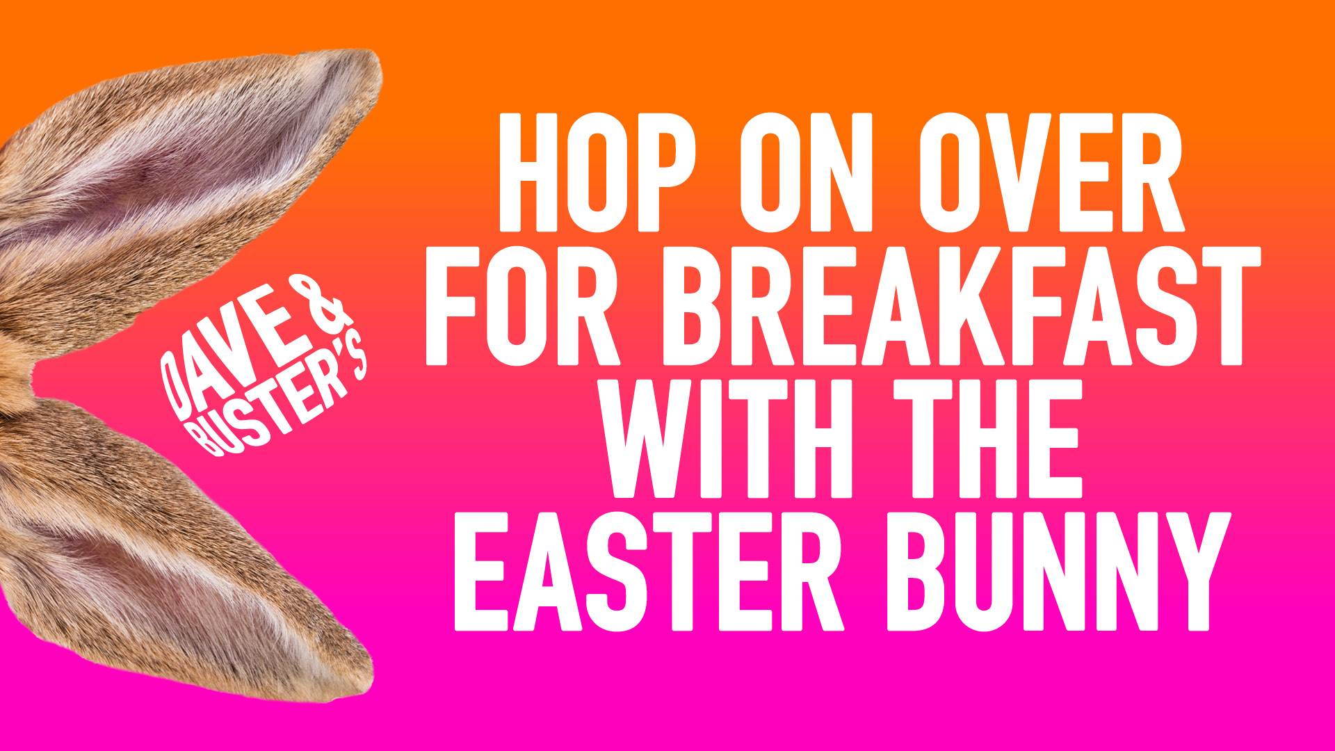 DB Bunny Breakfast Banner