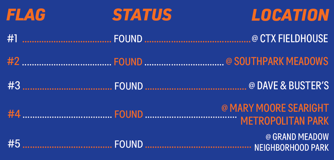 Find the Flag Status