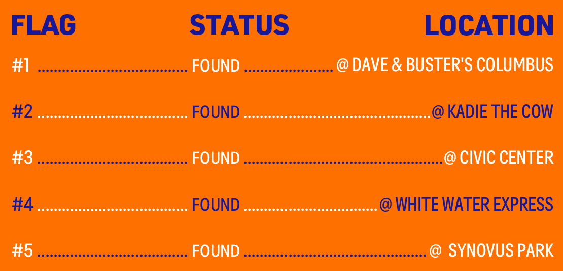 Find the Flag Status
