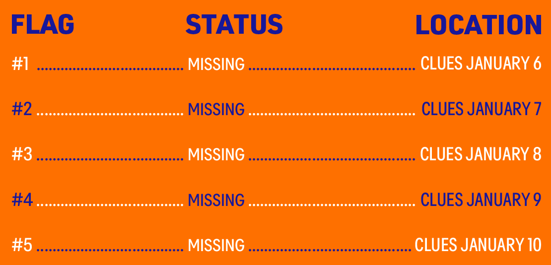 Find the Flag Status