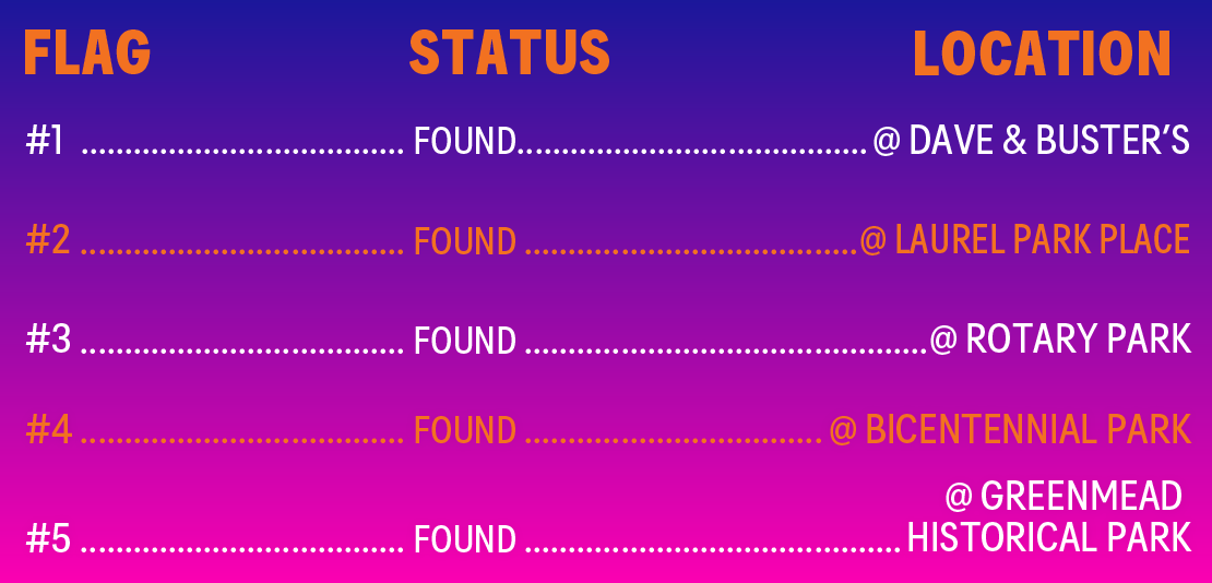 Find the Flag Status