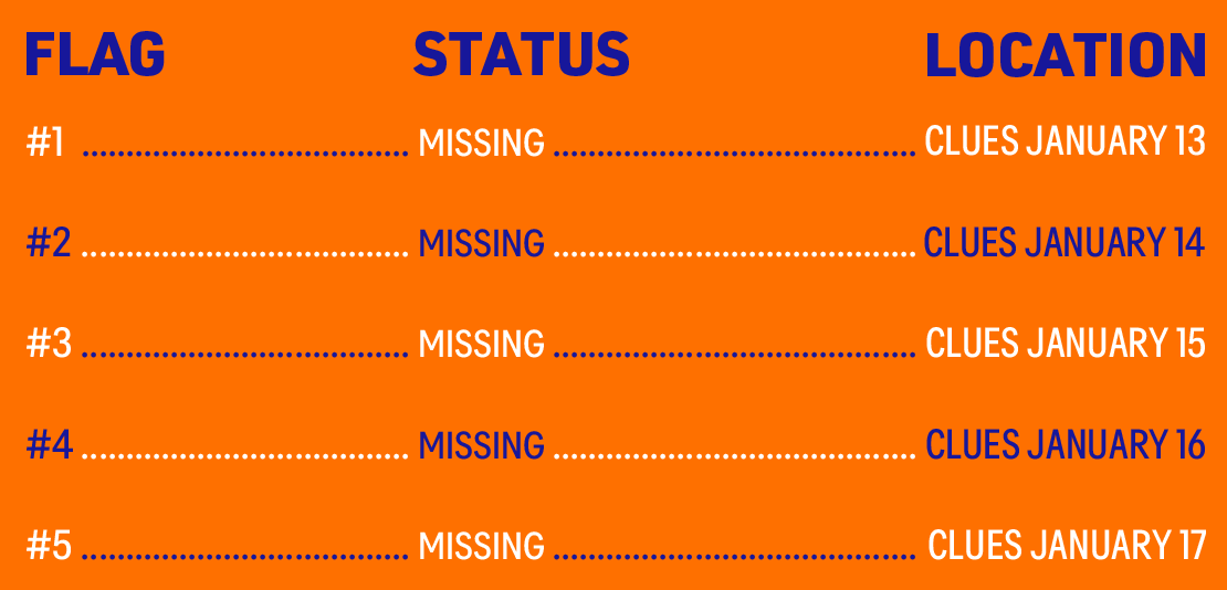 Find the Flag Status