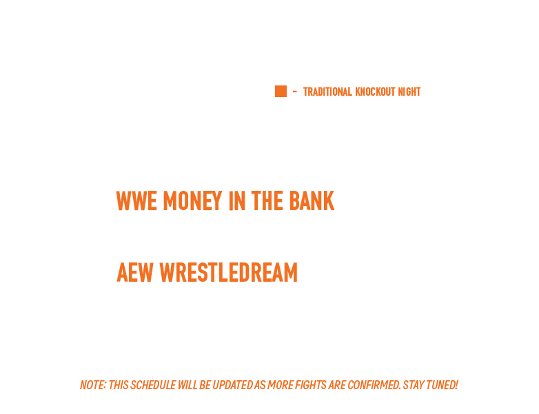 UFC Fight Night
